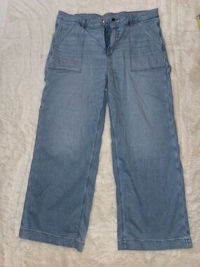 American eagle dreamy drape baggy wide leg jeans size 20 long